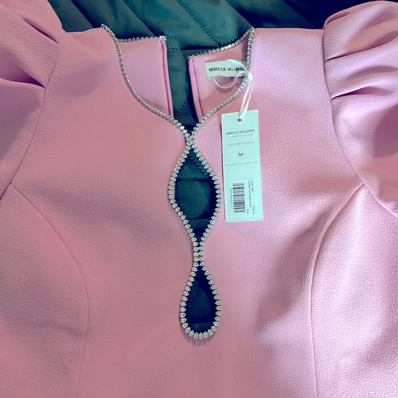 REBECCA VALLANCE Dresses & Skirts - NEW REBECCA VALLANCE karina puff sleeve mini dress in pink
